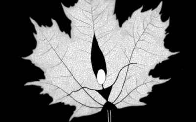 The Intruder and the Four Seasons