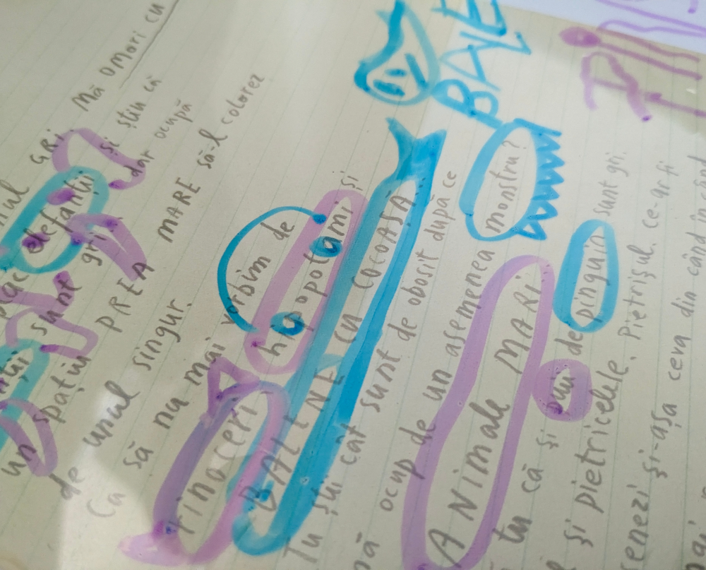 WordSearchTransparent_2